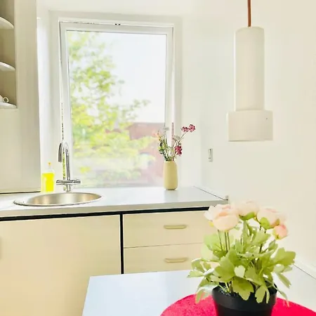 Scandinavian - Tobaksgarden - 2 公寓 霍森斯